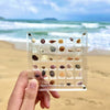 ORIGINAL DESIGN - Acrylic Magnetic Seashell Display Box