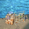 ORIGINAL DESIGN - Acrylic Magnetic Seashell Display Box